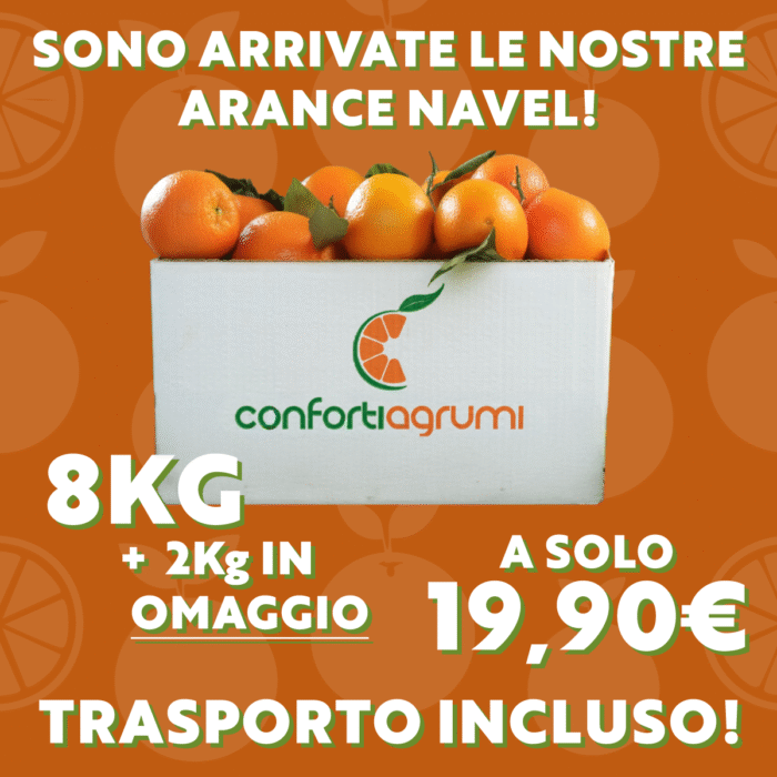 Arancia Navel da Agricoltura Biologica - 10 Kg TRASPORTO GRATUITO