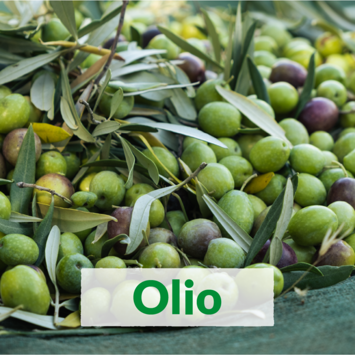 Olivenöl aus Kalabrien – Ernte 2025/2026