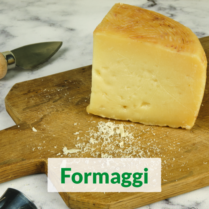 Traditioneller italienischer Käse