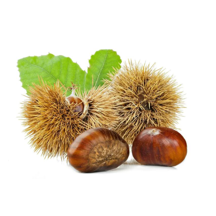 Castagne 'Nzerta - Altopiano Silano